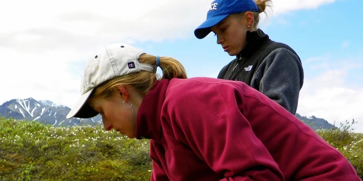 Amanda Koltz (left) and research assistant Kiki Contreras examine a plot in the Alaskan Arctic. Courtesy of College of Natural Sciences