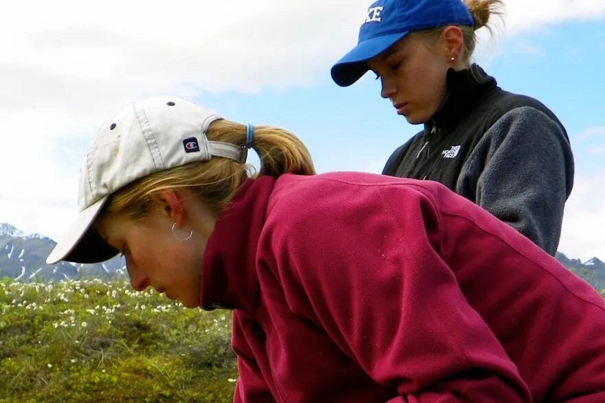 Amanda Koltz (left) and research assistant Kiki Contreras examine a plot in the Alaskan Arctic. Courtesy of College of Natural Sciences